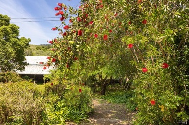 Set along the southern edge of the Olema Valley in Bolinas - photo 19