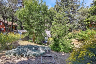 The four bears cabin sits perched on a quiet and unique street - photo 32