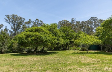 Set along the southern edge of the Olema Valley in Bolinas - photo 36