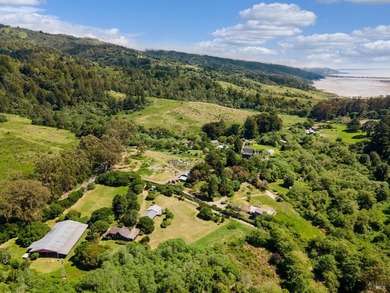 Set along the southern edge of the Olema Valley in Bolinas - photo 41