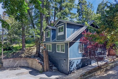 The four bears cabin sits perched on a quiet and unique street - photo 47