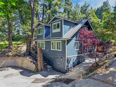 The four bears cabin sits perched on a quiet and unique street - photo 48