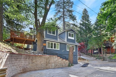 The four bears cabin sits perched on a quiet and unique street - photo 50