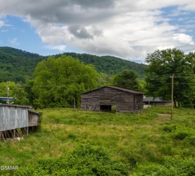 Lake Acreage For Sale in Del Rio, Tennessee