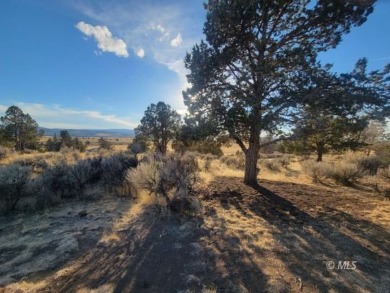 Lake Acreage For Sale in Alturas, California