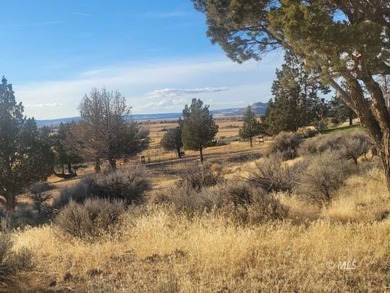 This 2 +/- acre lot offers a fantastic view. Power is available - photo 2