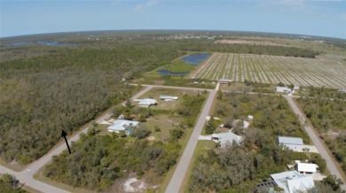 Peace River Lot For Sale in Punta Gorda Florida