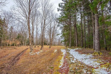 This 11.77 acre property offers a great location with direct - photo 2