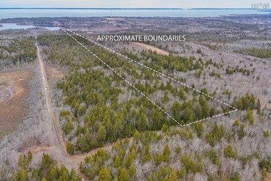 This 11.77 acre property offers a great location with direct - photo 3