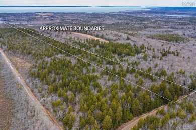 This 11.77 acre property offers a great location with direct - photo 4