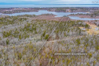 This 11.77 acre property offers a great location with direct - photo 5