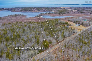 This 11.77 acre property offers a great location with direct - photo 6