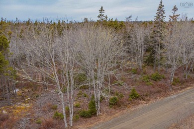 This 11.77 acre property offers a great location with direct - photo 7
