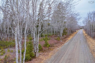 This 11.77 acre property offers a great location with direct - photo 8