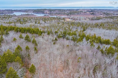 This 11.77 acre property offers a great location with direct - photo 9