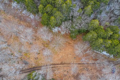 This 11.77 acre property offers a great location with direct - photo 10