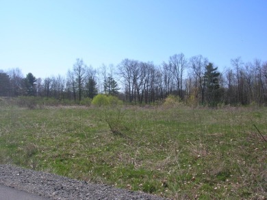 Cayuga Lake Lot For Sale in Ithaca New York