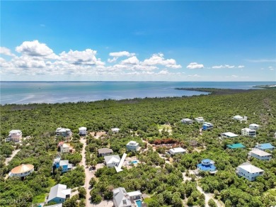 Build Your Island Dream Home at 4471 Cutlass Dr on North Captiva - photo 8