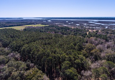 2 Waterfront lots combined or sold separately for $1,975,000! - photo 9