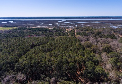 2 Waterfront lots combined or sold separately for $1,975,000! - photo 10