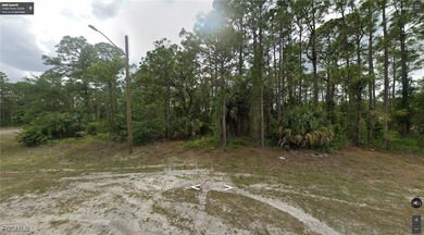 Lehigh Acres Area Lot For Sale in Lehigh Acres Florida