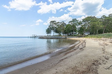 Your very own beach!! Experience the ultimate Northern Neck - photo 46