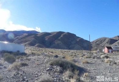 Lake Lot For Sale in Walker Lake, Nevada