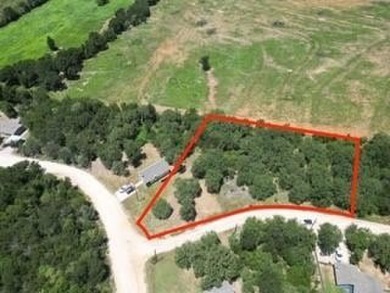 Lake Lot For Sale in Bridgeport, Texas