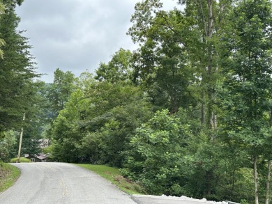 Lots 21 & 22 - Lake Lot For Sale in Caryville, Tennessee