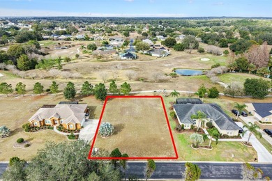 (private lake, pond, coastal) Lot For Sale in Lady Lake Florida