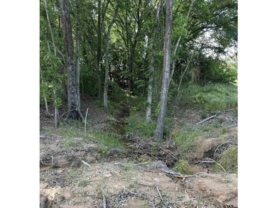 If you have dreamed of buying a perfect sized rural property to - photo 8