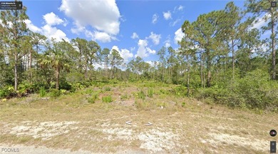 Lehigh Acres Area Lot For Sale in Lehigh Acres Florida