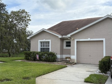 (private lake, pond, creek) Home For Sale in Zephyrhills Florida