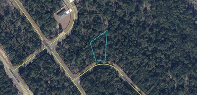 Blue Homestead Lake  Lot For Sale in Chipley Florida
