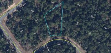 Discover the perfect place to build on this spacious 0.392-acre - photo 3
