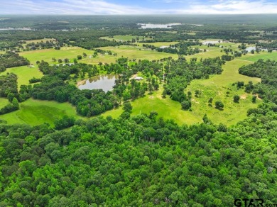 (private lake, pond, creek) Home For Sale in Mineola Texas