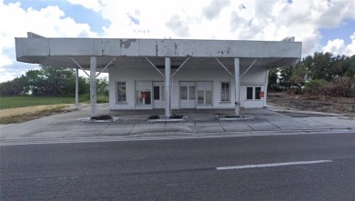 Lake Commercial For Sale in Lake Alfred, Florida