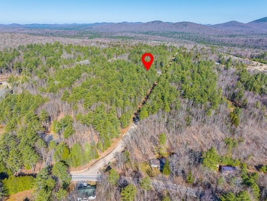 Located in the heart of the Adirondack Mountains, this charming - photo 3