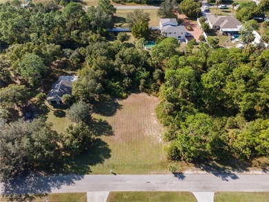 Lehigh Acres Area Lot For Sale in Lehigh Acres Florida