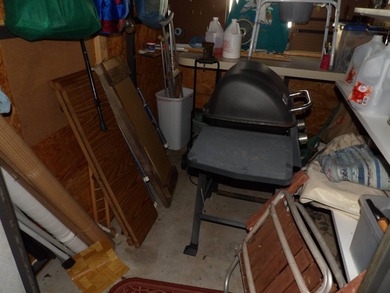 This cozy and partially furnished, 12 X 33 1 BR 1 BA home with - photo 12