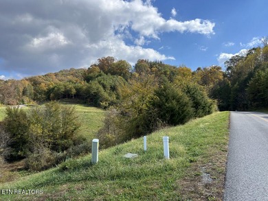 Gentle slope to Norris Lakefront (.91 acre) Lot #694G! Located - photo 14