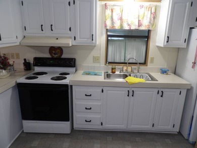 This cozy and partially furnished, 12 X 33 1 BR 1 BA home with - photo 20