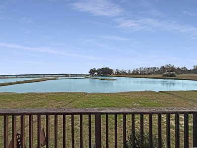 Wake up to breathtaking unobstructed views of the Winyah Bay - photo 22