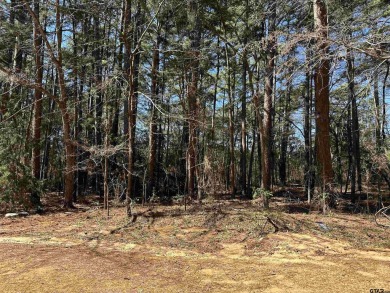 Lake Lot For Sale in Bullard, Texas