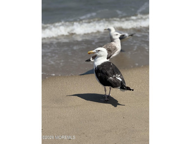 STUNNING SHORE HOME -- STEPS FROM THE SAND | POINT PLEASANT