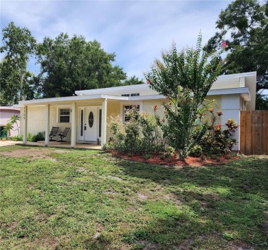 (private lake, pond, creek) Home For Sale in Safety Harbor Florida