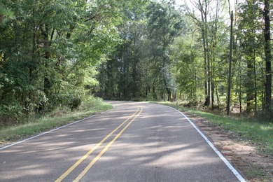 Lake Acreage For Sale in Port Gibson, Mississippi