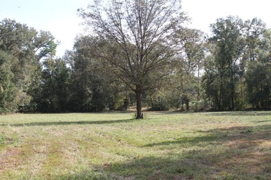 Approximately 175 acres in prime MS hunting country! This - photo 6