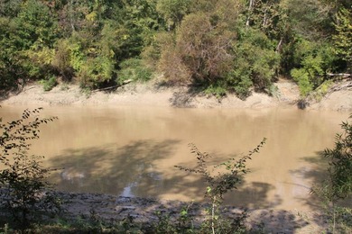 Approximately 175 acres in prime MS hunting country! This - photo 8