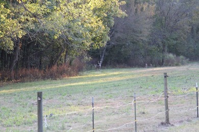 Approximately 175 acres in prime MS hunting country! This - photo 10